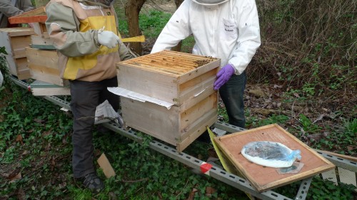 Uniting with newspaper 2