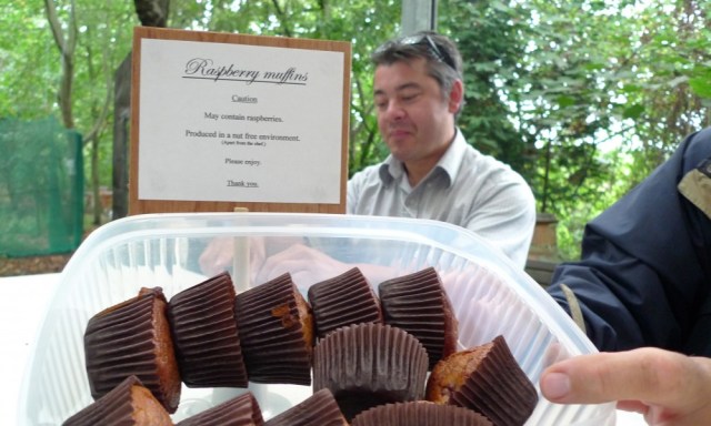 Raspberry muffins Raspberry muffins