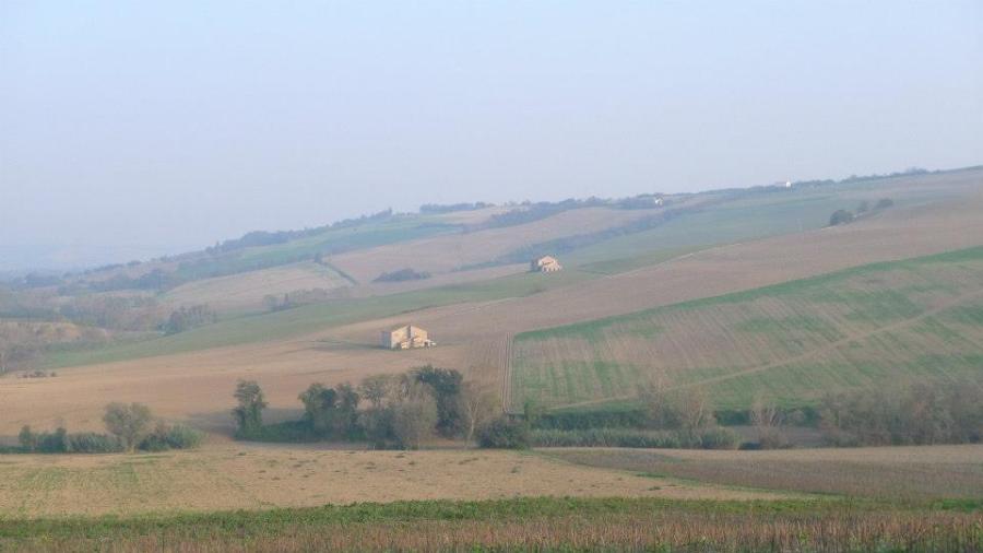 The view from Alison's garden