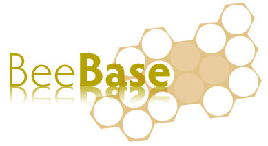 Beebase logo