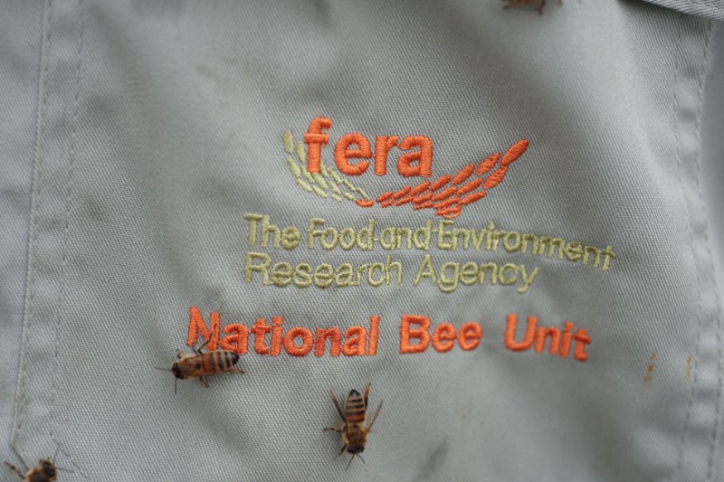 FERA NBU Beesuit