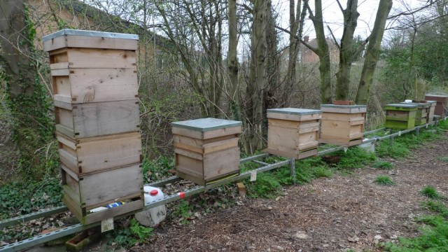 Our hives