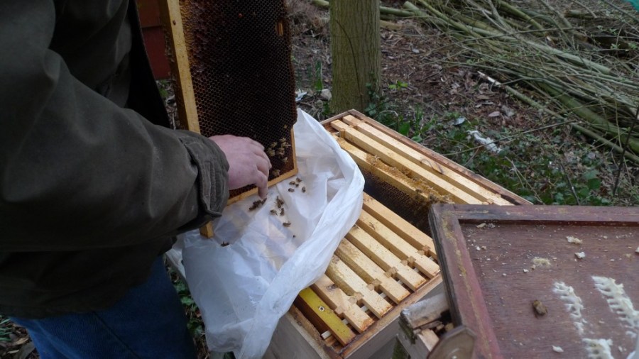 Thomas taking a sample