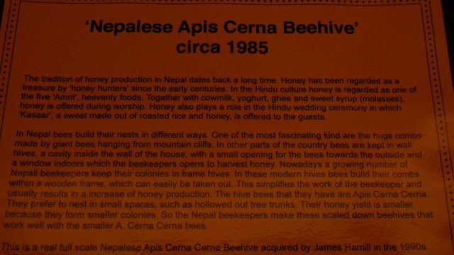 Nepalese Apis Cerna Beehive description