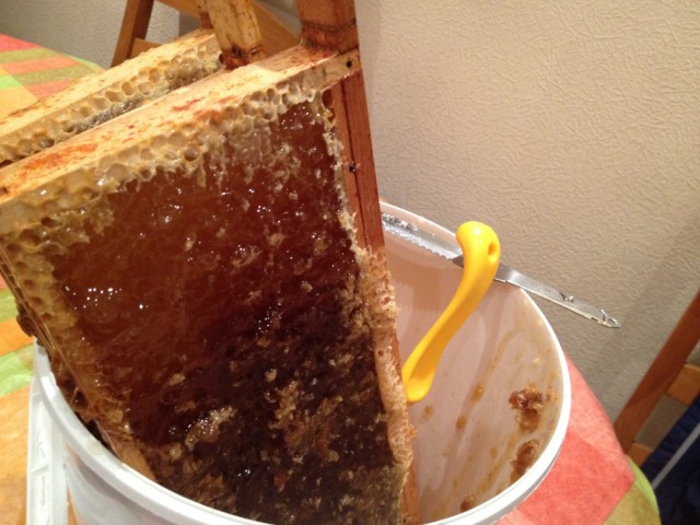Honey bucket