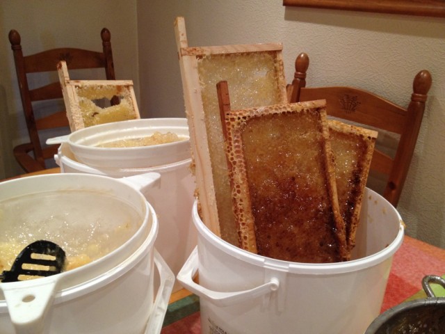 Honey buckets