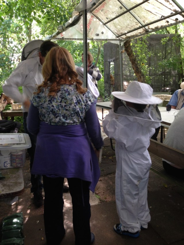 Putting on bee suits
