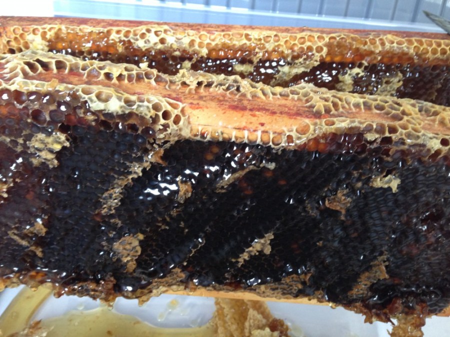 Two uncapped allotment frames