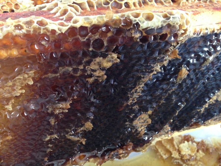 Allotment honey uncapped