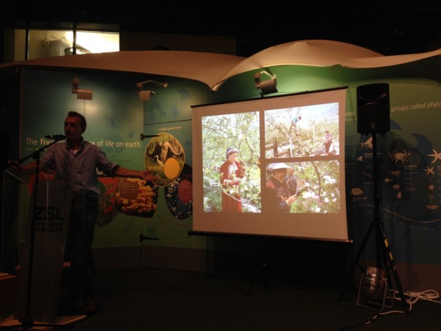 Human pollination China