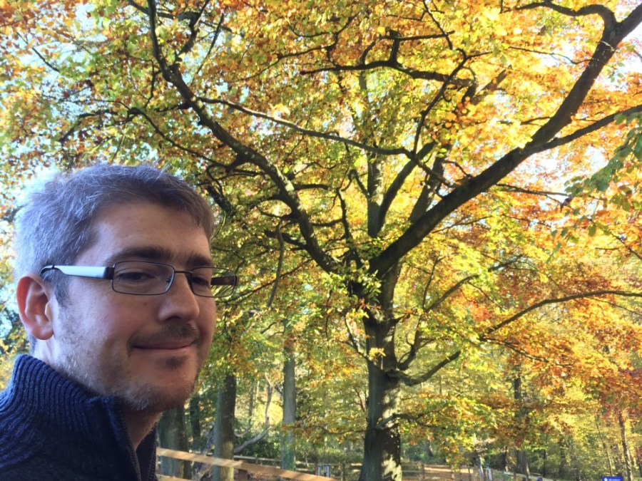 Drew and autumn leaves