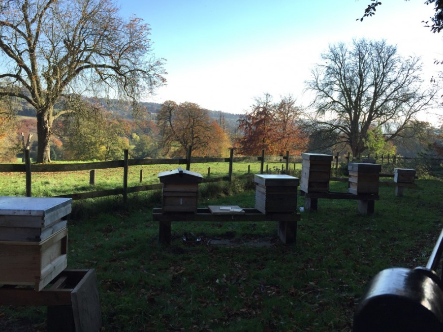 Bee hives, Hughenden Manor