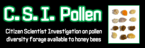 CSI Pollen logo
