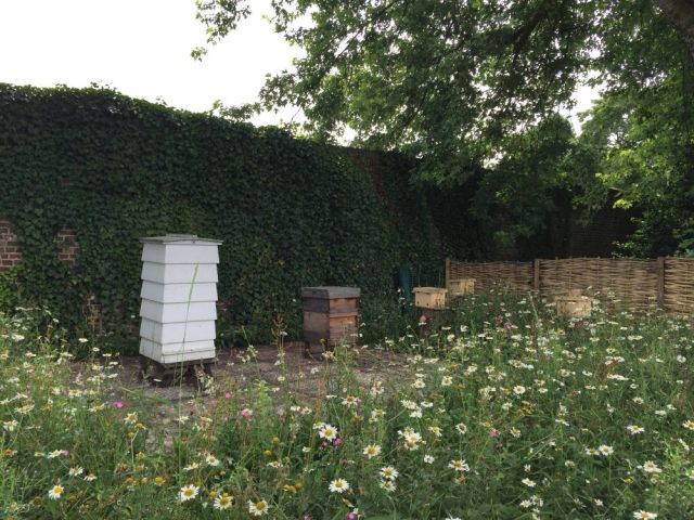 Hives at Kew