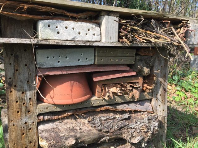 Tom's solitary bee palace