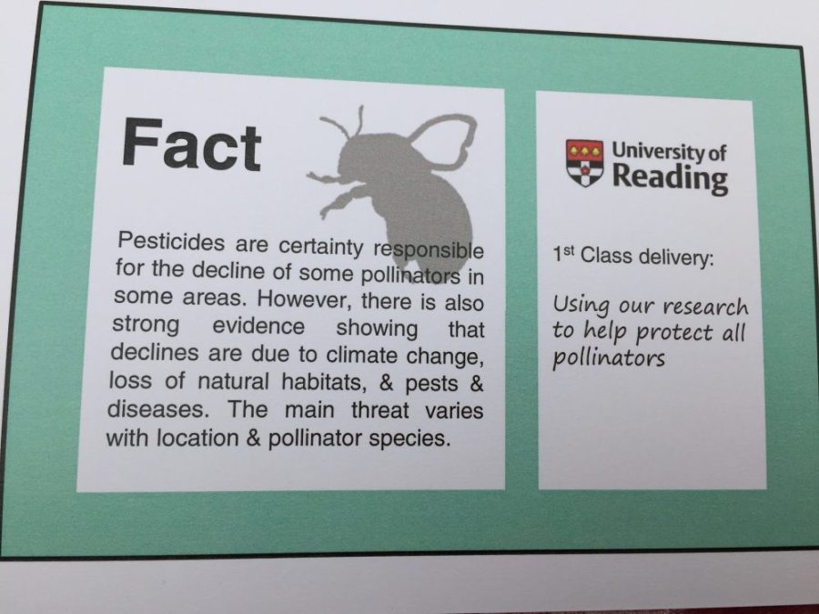 Bee pollination fact