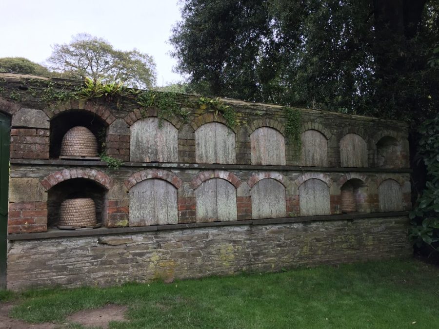 Heligan Gardens bee boles