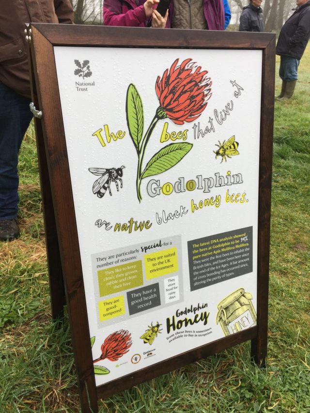 The bees that live at Godolphin poster