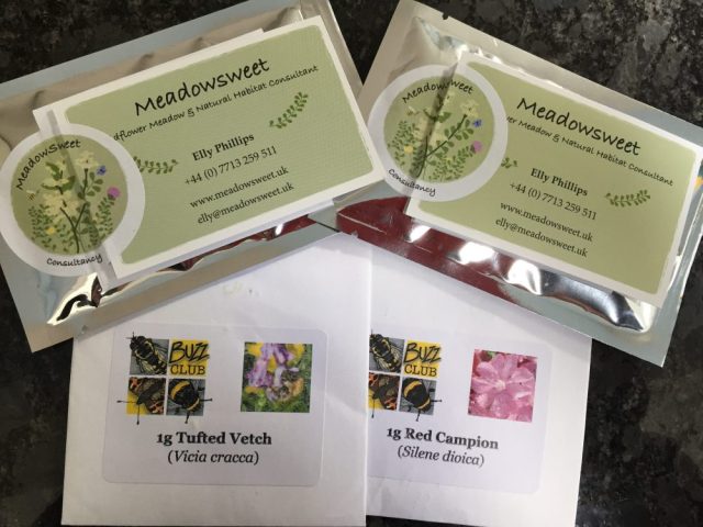 Elly Phillips, Meadowsweet seeds