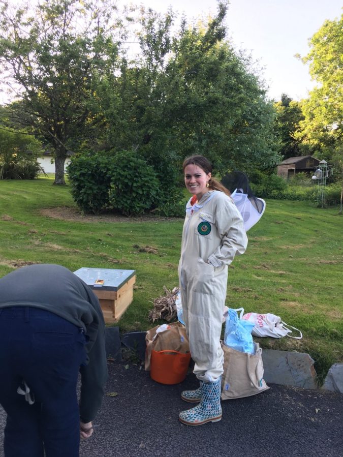 Preparing to collect the swarm