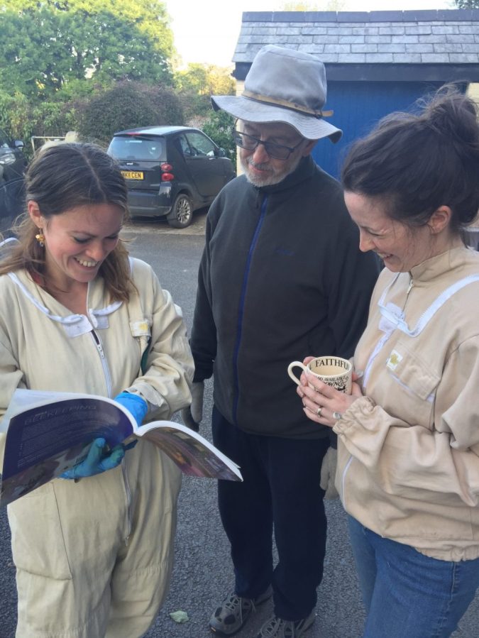 Looking at the bee books