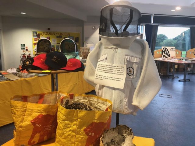 Asian hornet proof suit