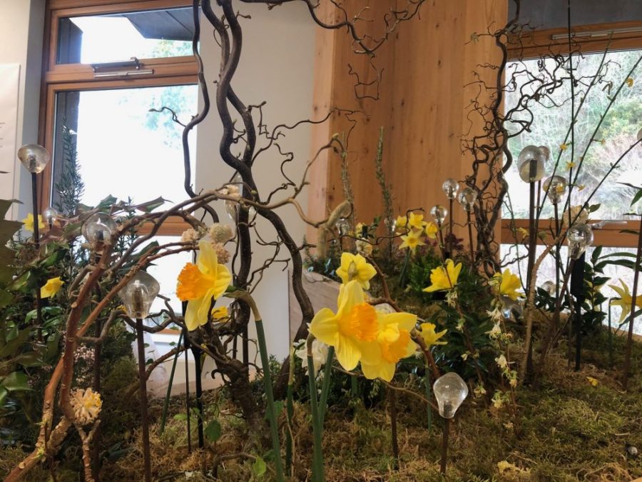 Wolfgang Buttress Reverie