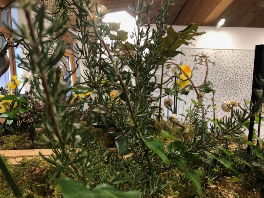 Wolfgang Buttress Reverie