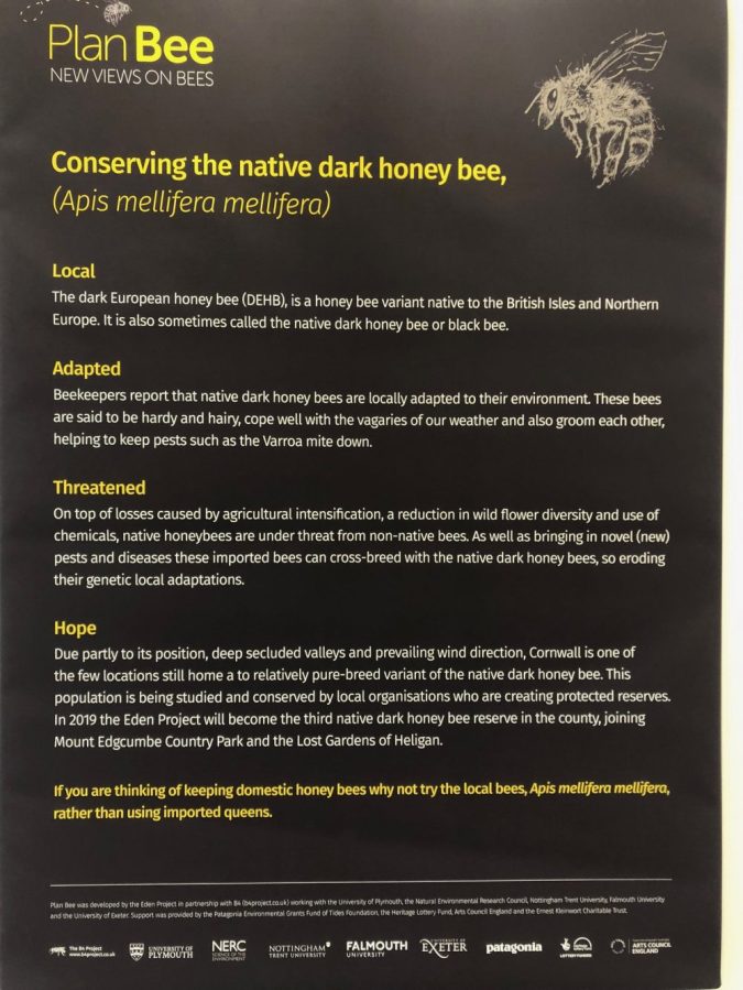 Conserving the native dark honey bee info