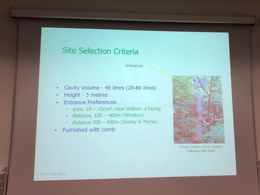 Swarm site selection criteria