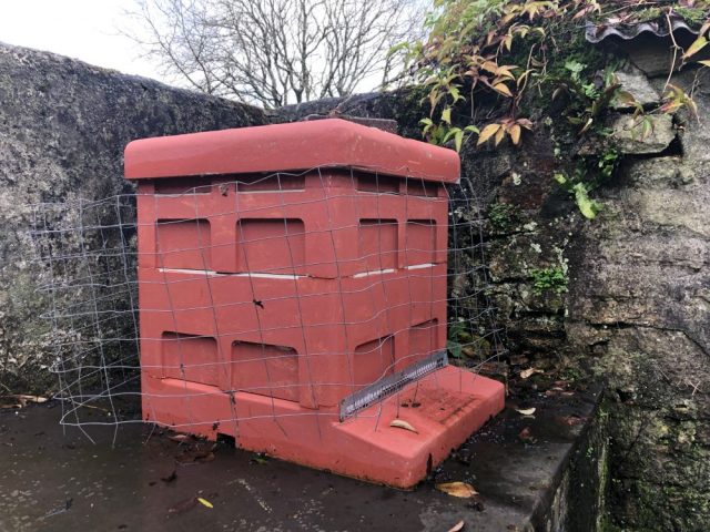 Poly hive with woodpecker protection