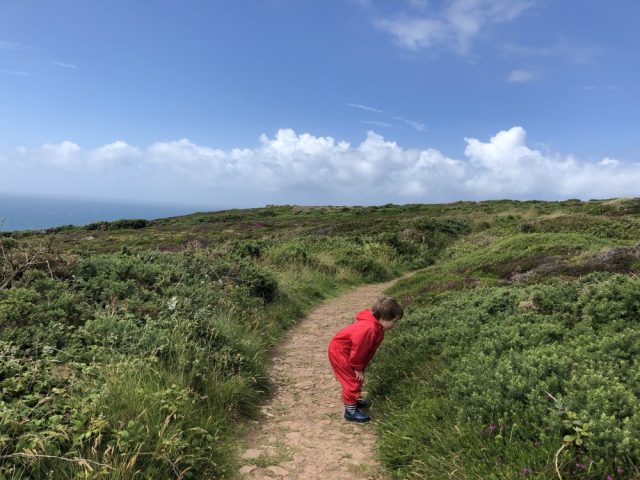 Tommy looking at flowers