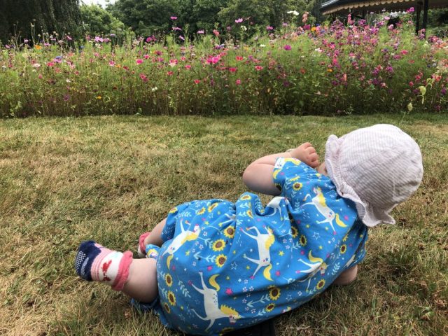 Wildflowers and baby