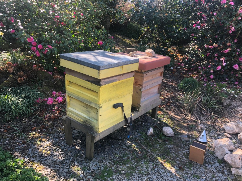 Bee hives and smoker