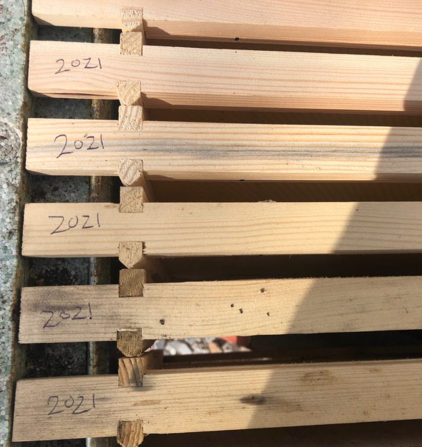 Frames labelled with date