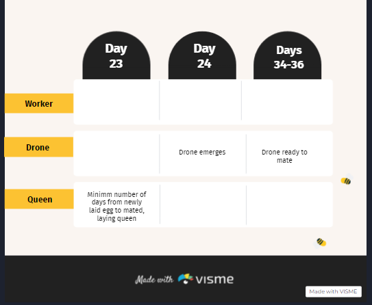 Honey bee maths infographic Part 2