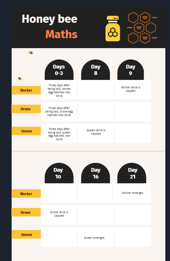 Honey bee maths infographic Part 1