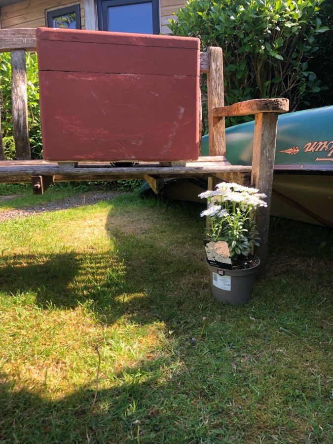 Tiny swarm under nuc