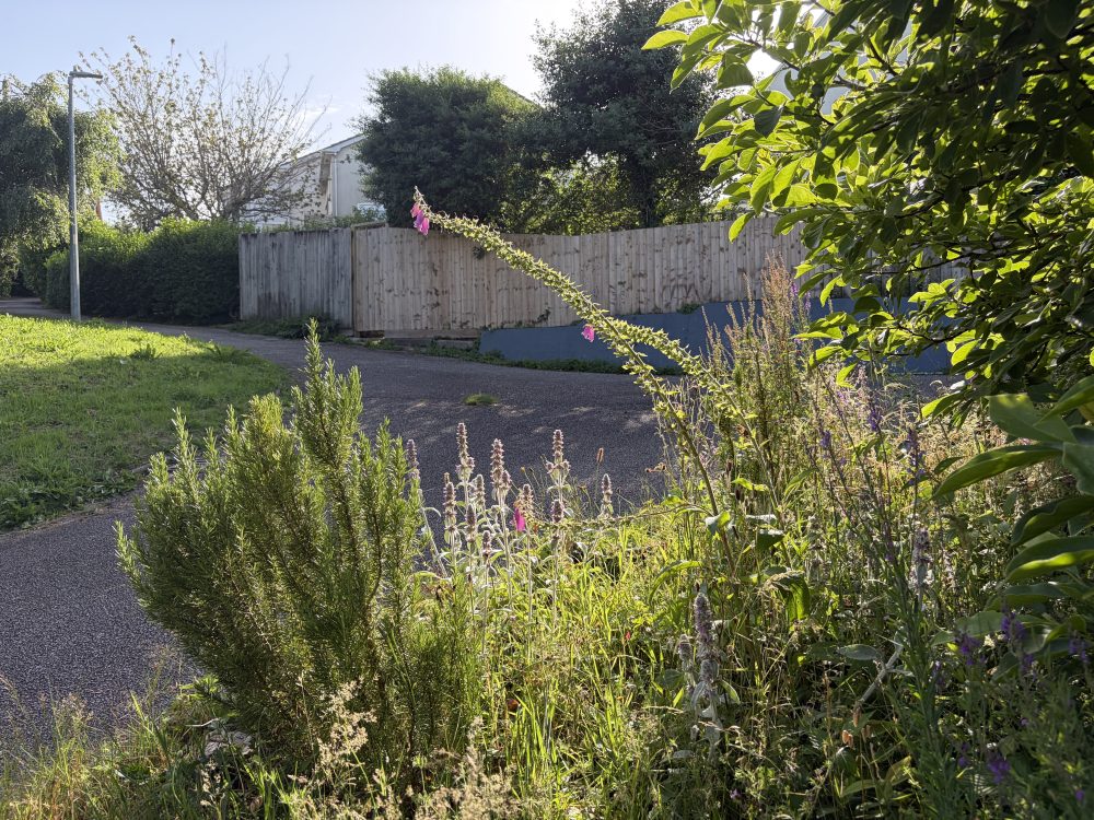 Front garden