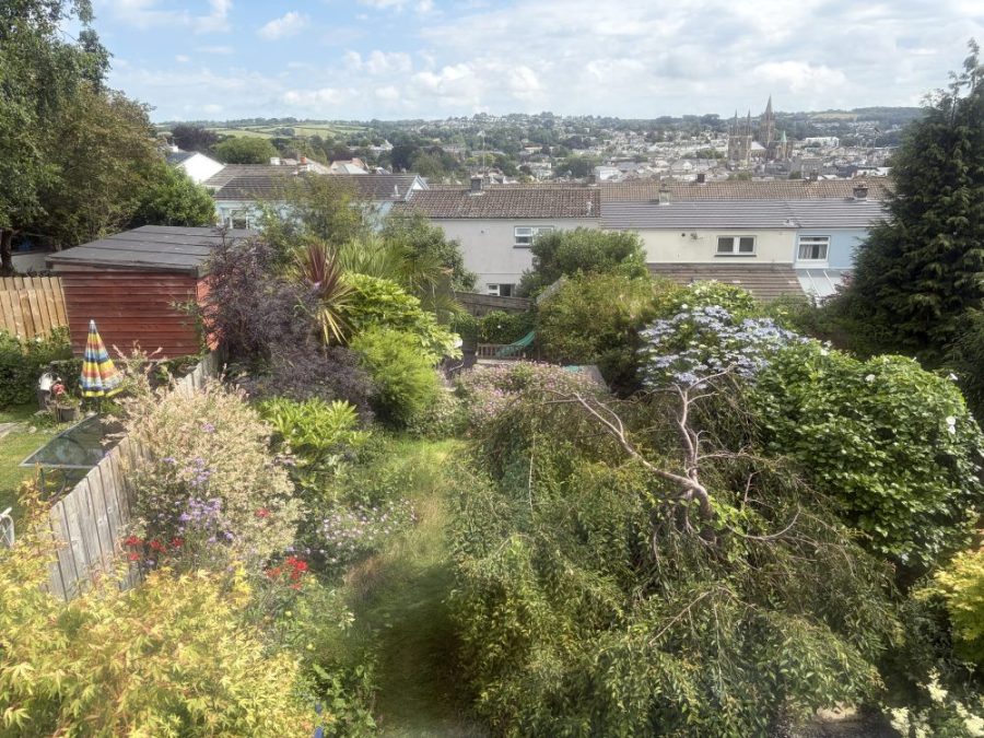 Back garden